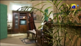 Guddi - Episode 17 - 5th January 2025